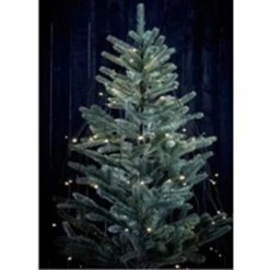 Veli Line Juletrelyslenke , Easy Fit